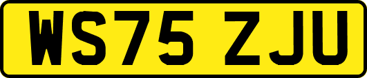 WS75ZJU