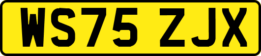 WS75ZJX