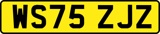 WS75ZJZ