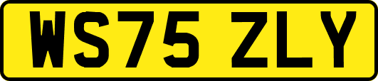 WS75ZLY