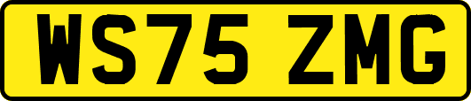 WS75ZMG