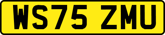 WS75ZMU