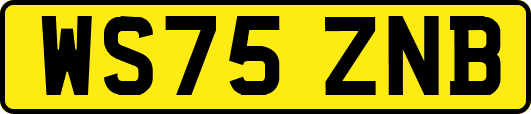 WS75ZNB