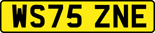 WS75ZNE