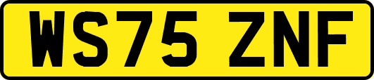 WS75ZNF