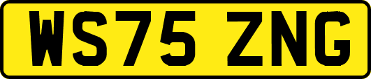 WS75ZNG