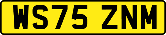 WS75ZNM