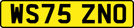 WS75ZNO