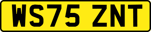WS75ZNT