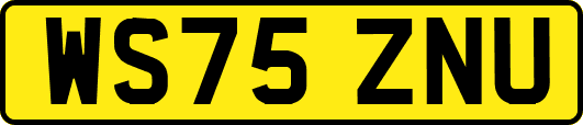 WS75ZNU