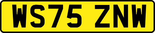 WS75ZNW