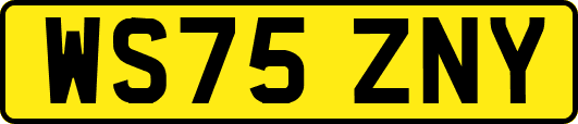 WS75ZNY