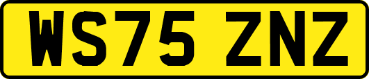 WS75ZNZ