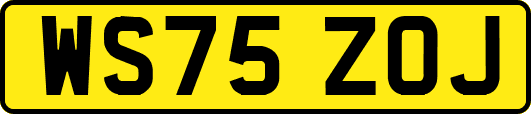 WS75ZOJ