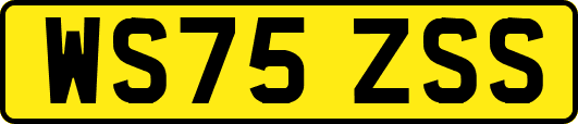 WS75ZSS