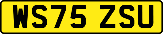 WS75ZSU
