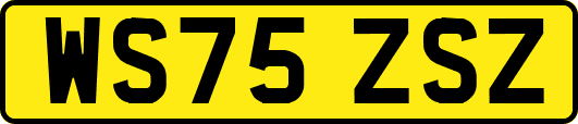 WS75ZSZ