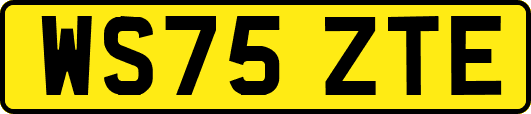 WS75ZTE