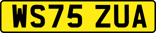 WS75ZUA