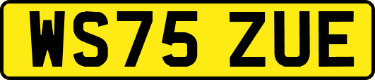 WS75ZUE