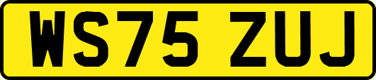 WS75ZUJ