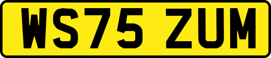 WS75ZUM