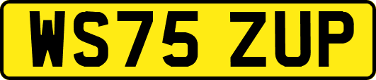 WS75ZUP