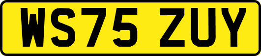 WS75ZUY
