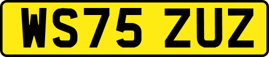 WS75ZUZ
