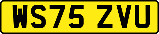 WS75ZVU