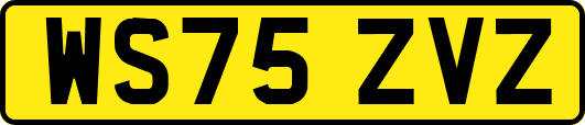 WS75ZVZ