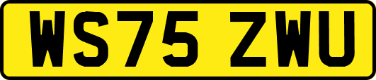 WS75ZWU