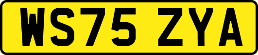 WS75ZYA