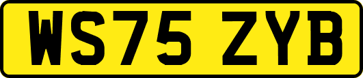 WS75ZYB