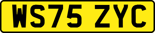 WS75ZYC