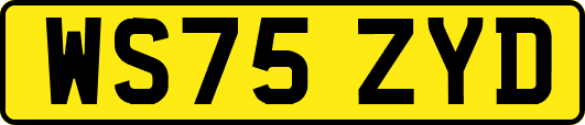 WS75ZYD