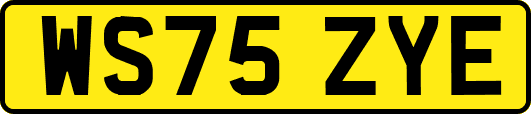 WS75ZYE