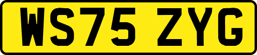 WS75ZYG