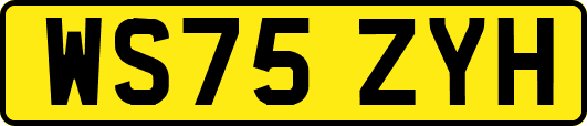 WS75ZYH