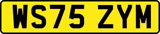 WS75ZYM