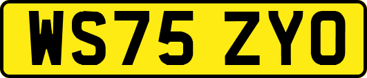 WS75ZYO