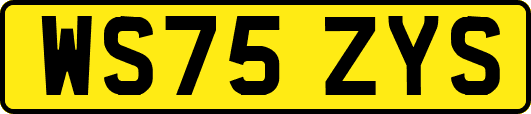 WS75ZYS