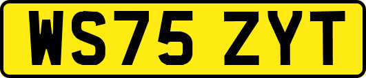 WS75ZYT