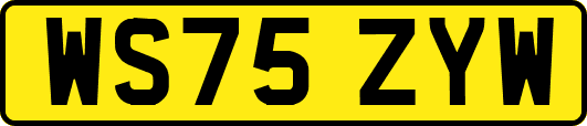WS75ZYW