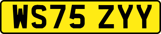 WS75ZYY