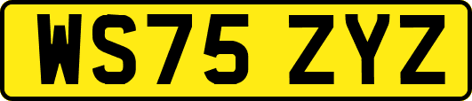 WS75ZYZ