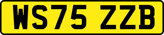 WS75ZZB