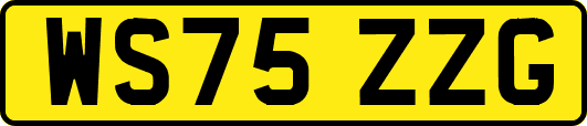WS75ZZG