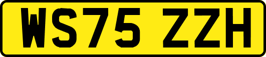 WS75ZZH