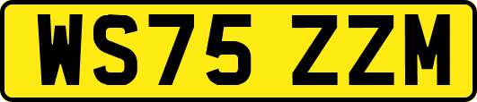 WS75ZZM